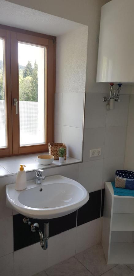 Ferienwohnung Natururlaub Muggenbrunn Todtnau Exterior photo